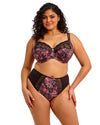 MORGAN DARK ROMANCE HIGH LEG BRIEF