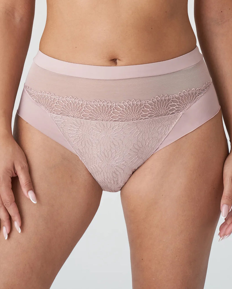 SOPHORA BOIS DE ROSE FULL BRIEF